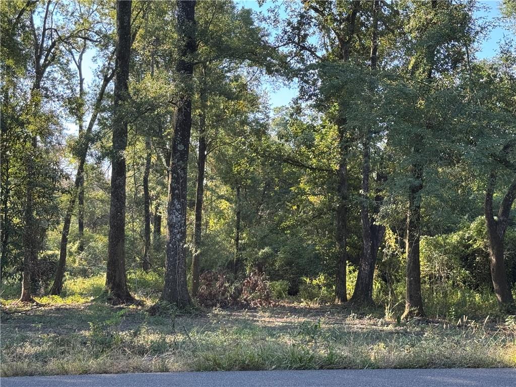 Dp-2 Carter Cemetery Road Springfield, LA 70462 - Photo 13 of 15