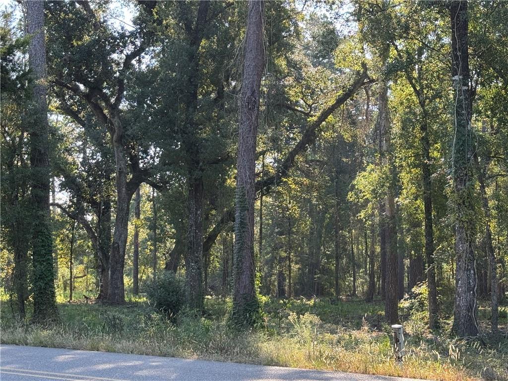 Dp-2 Carter Cemetery Road Springfield, LA 70462 - Photo 14 of 15
