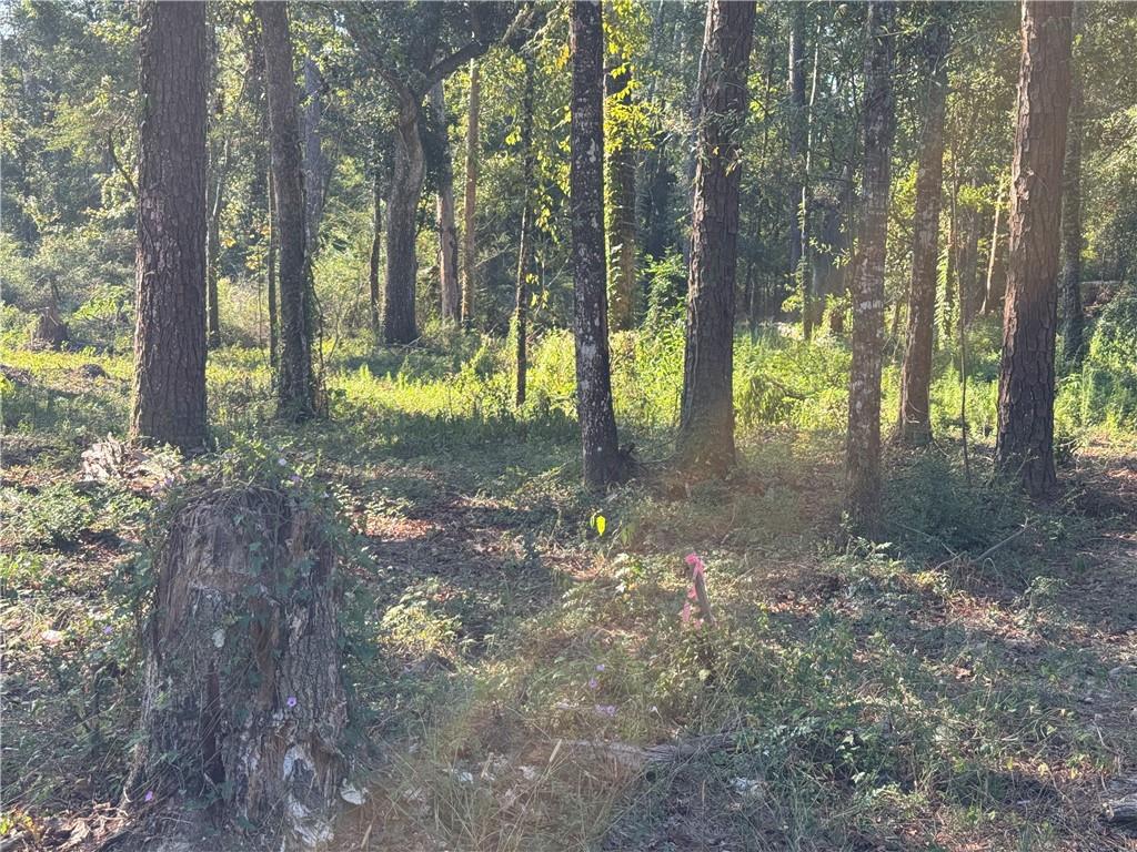 Dp-2 Carter Cemetery Road Springfield, LA 70462 - Photo 15 of 15