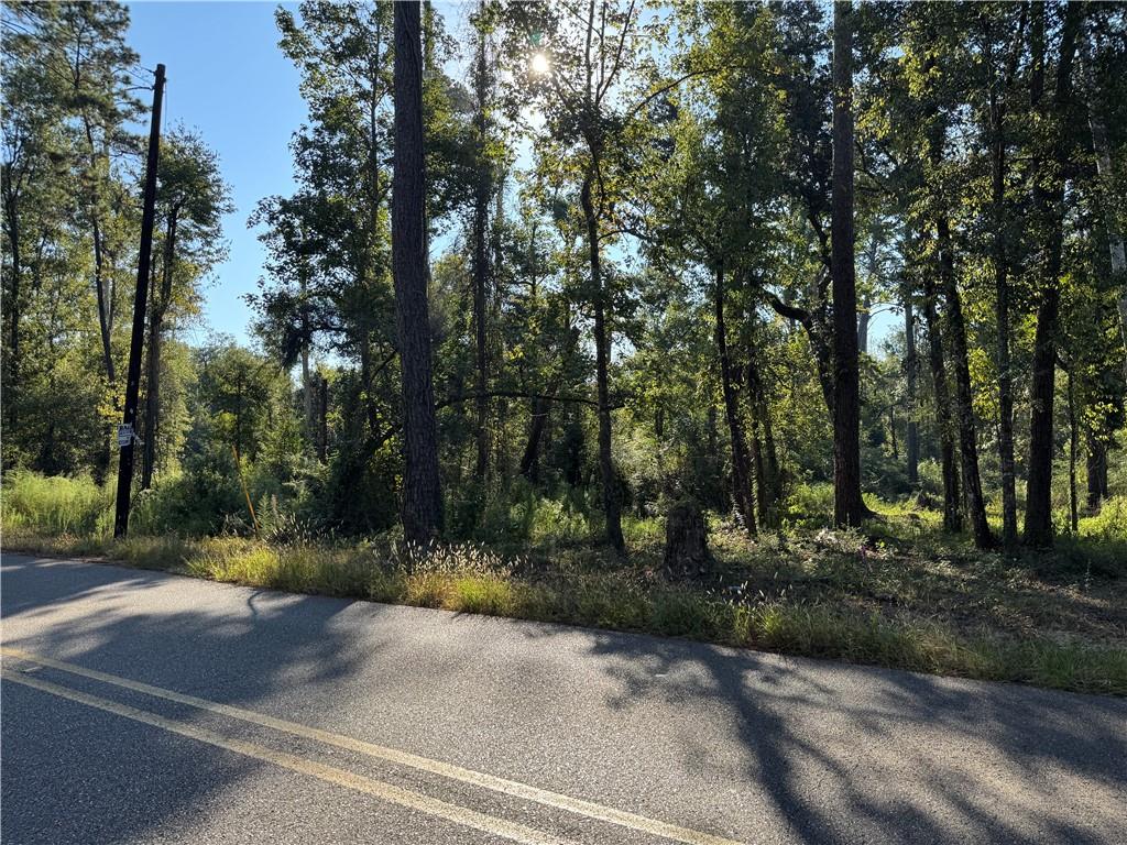 Dp-2 Carter Cemetery Road Springfield, LA 70462 - Photo 3 of 15