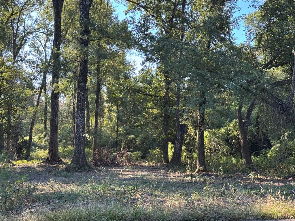 Dp-2 Carter Cemetery Road Springfield, LA 70462 - Photo 4 of 15