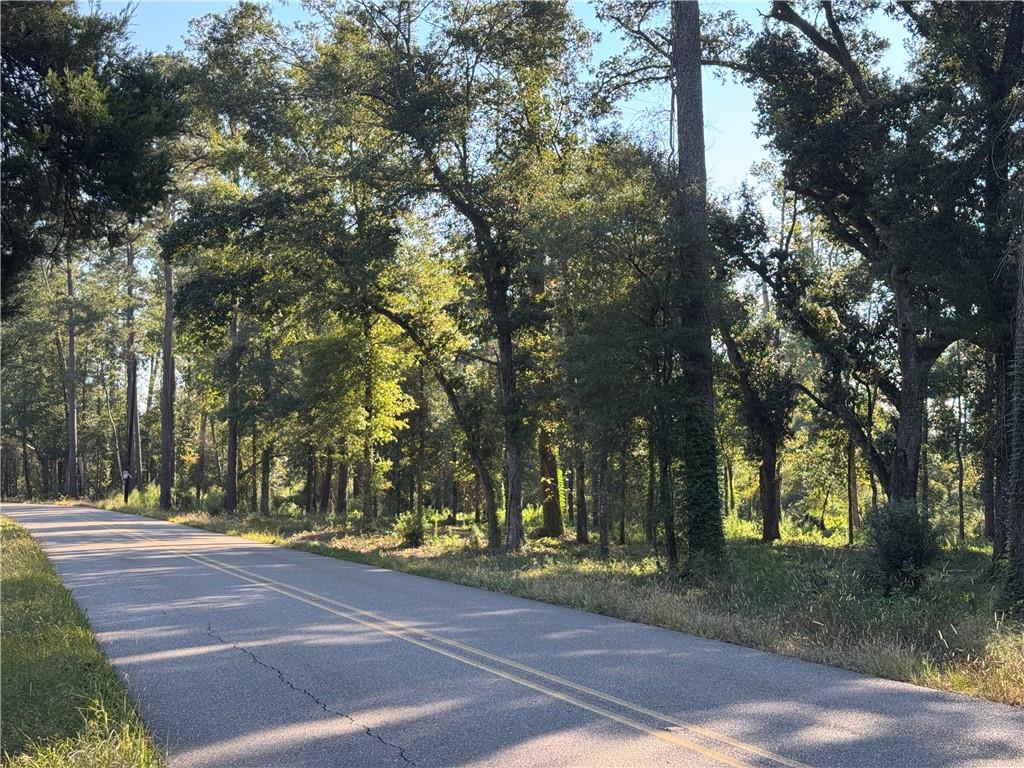 Dp-2 Carter Cemetery Road Springfield, LA 70462 - Photo 6 of 15