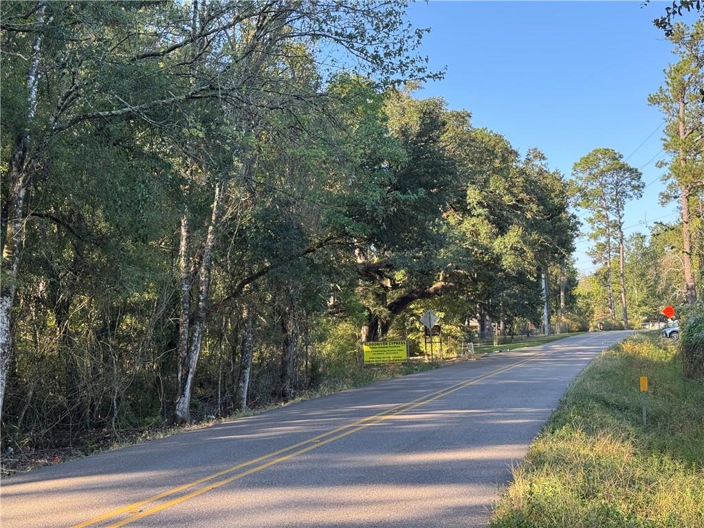 Dp-2 Carter Cemetery Road Springfield, LA 70462 - Photo 7 of 15
