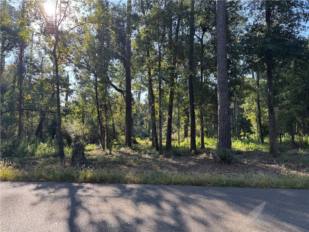 Dp-2 Carter Cemetery Road Springfield, LA 70462 - Photo 8 of 15