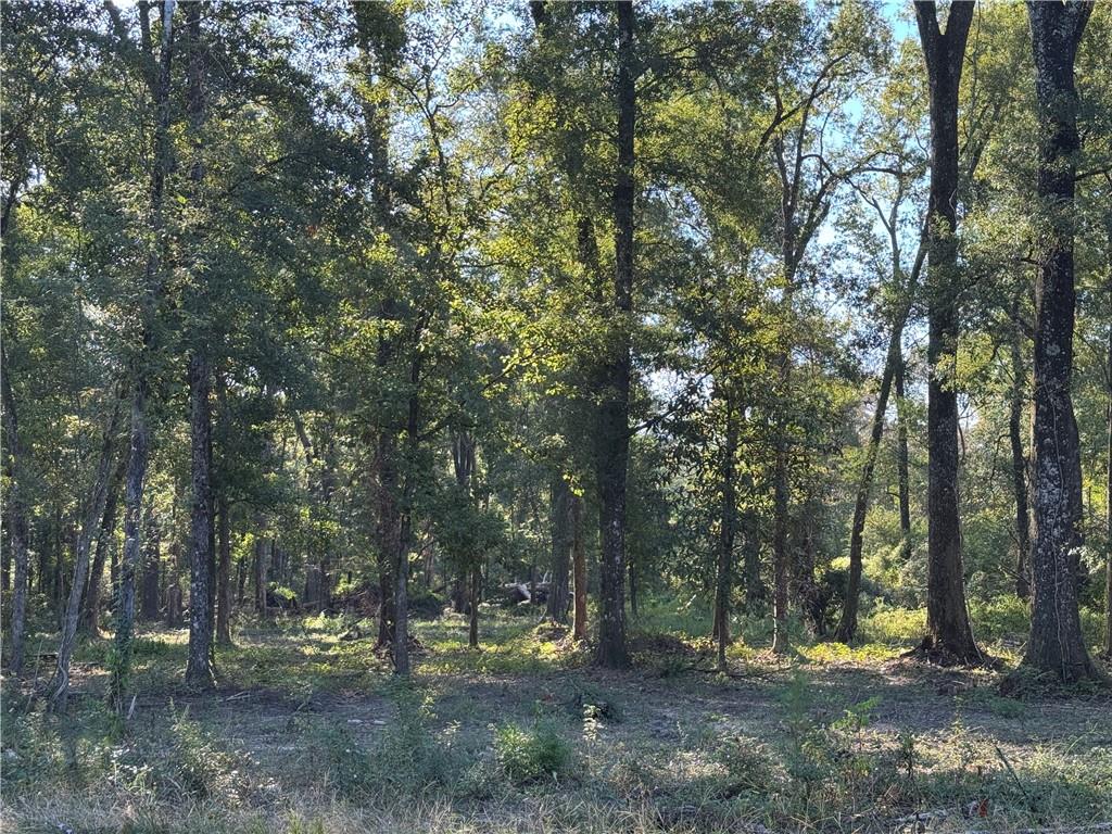 Dp-2 Carter Cemetery Road Springfield, LA 70462 - Photo 10 of 15