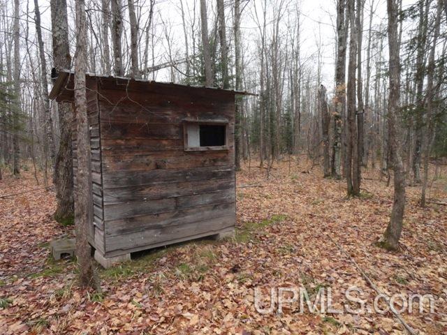 24494 L P Walsh Road White Pine, MI 49971 - Photo 19 of 28