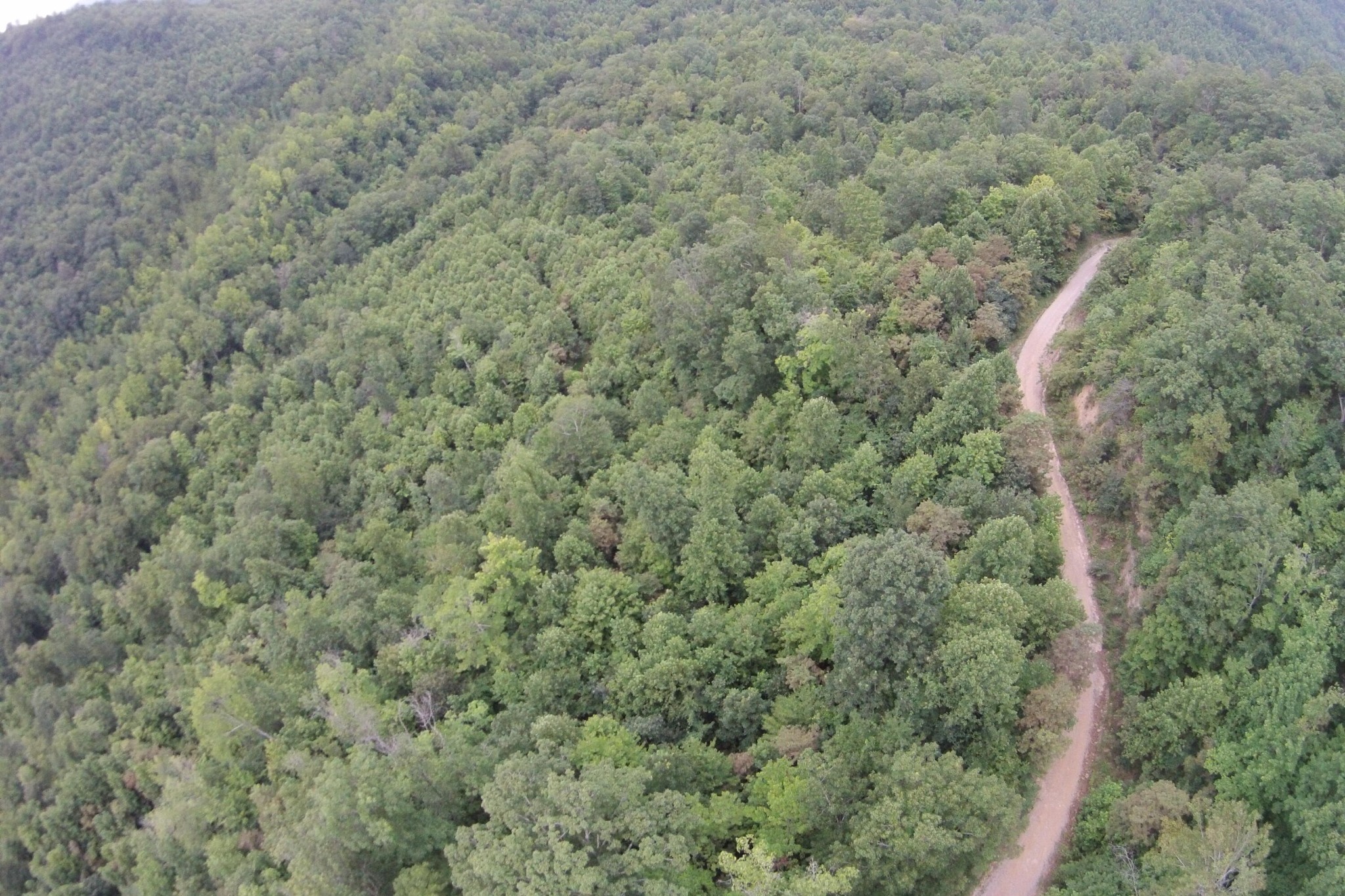 2 Straight Fork Road Huntsville, TN 37756 - Photo 9 of 13