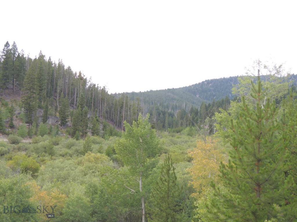 Tbd Delmoe Lake Road Butte, MT 59701 - Photo 1 of 1 Gallery Image 1
