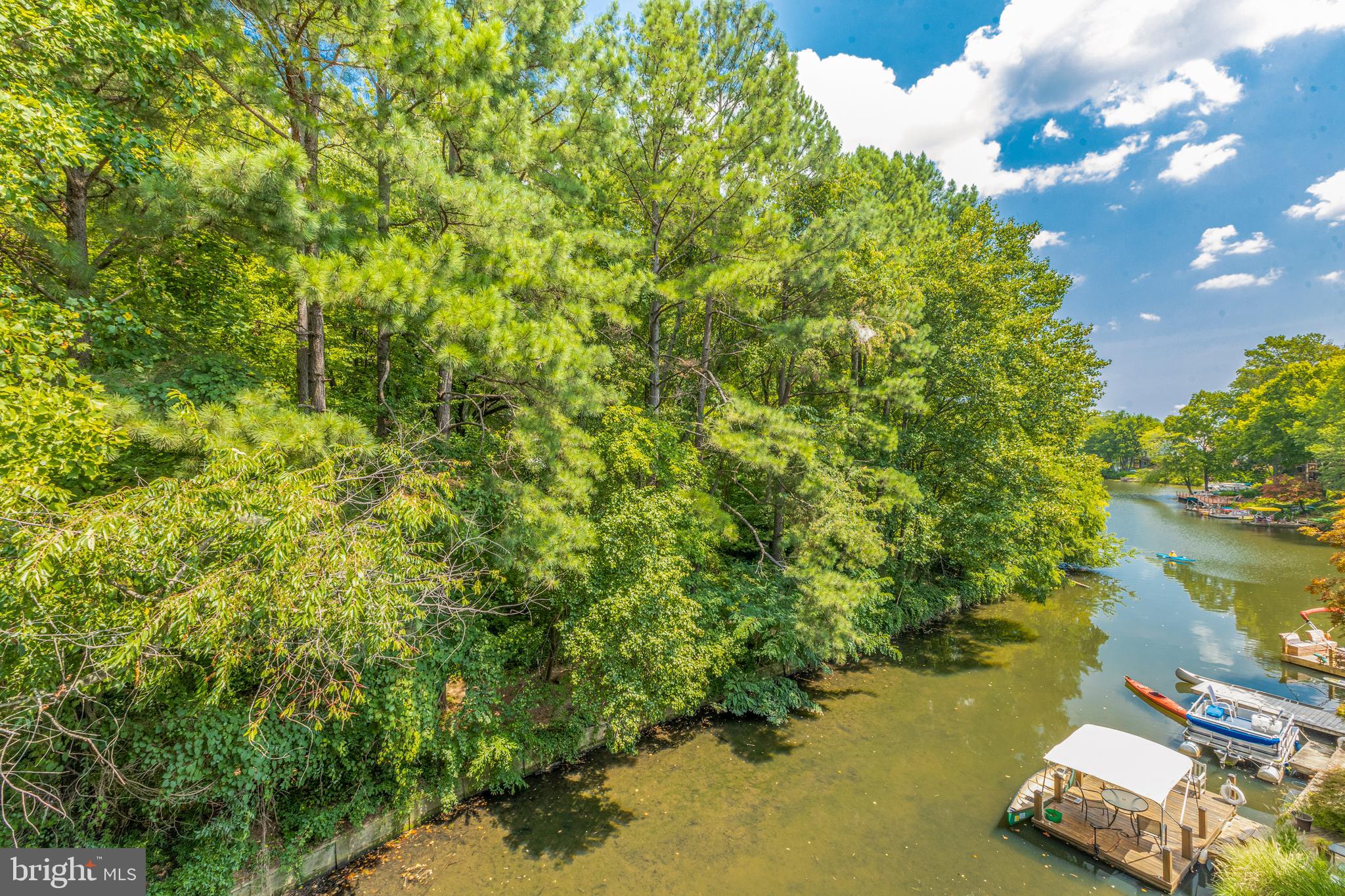 2002 Turtle Pond Drive Reston, VA 20191 - Photo 41 of 65 view from primary suite deck