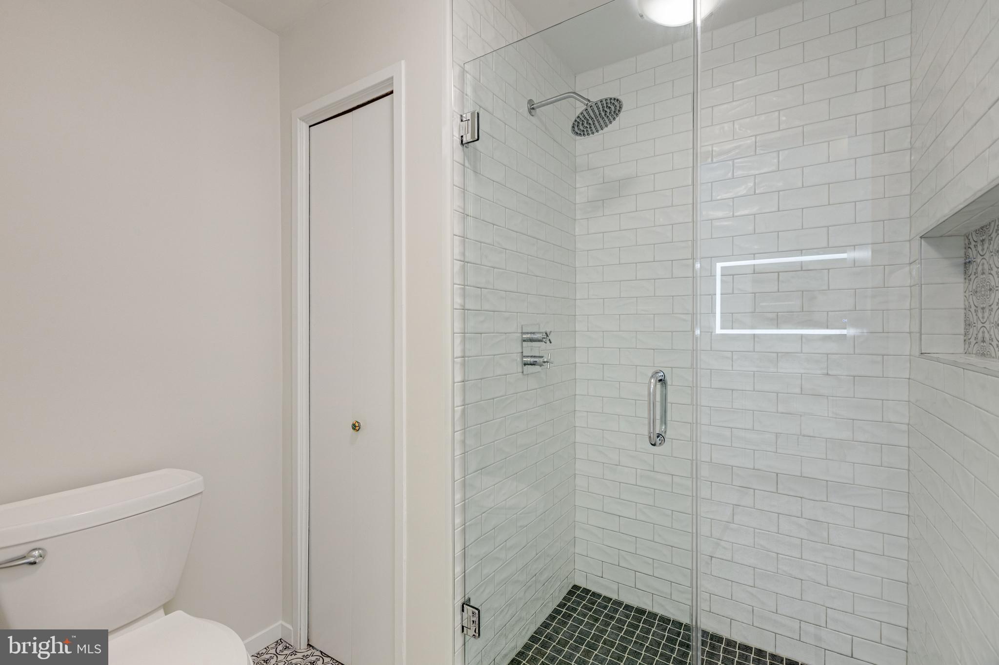 2002 Turtle Pond Drive Reston, VA 20191 - Photo 46 of 65 primary suite private shower and toilet room