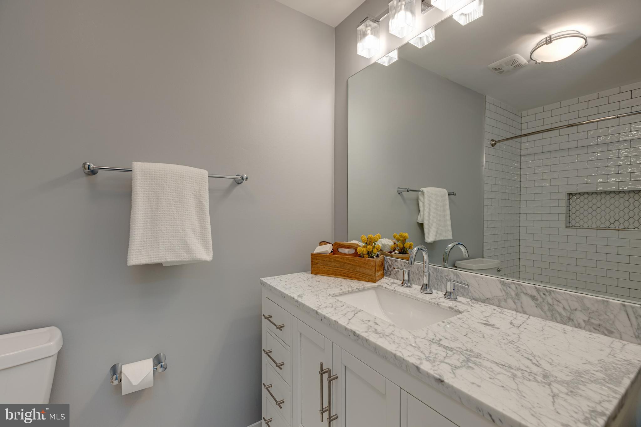 2002 Turtle Pond Drive Reston, VA 20191 - Photo 53 of 65 Hall bath 2