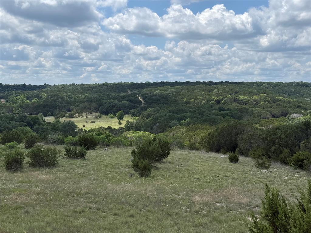 10151 Horizon View Tolar, TX 76476 - Photo 1 of 21