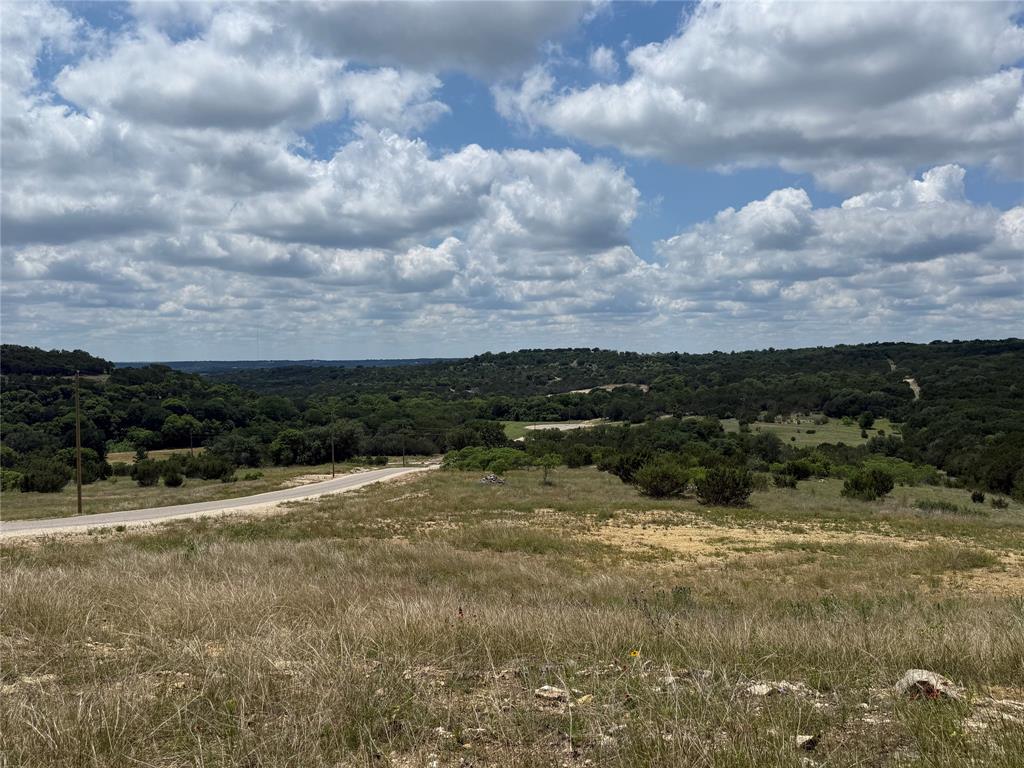 10151 Horizon View Tolar, TX 76476 - Photo 11 of 21