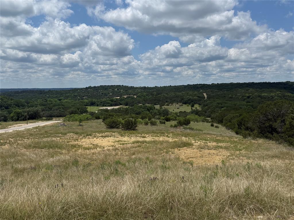 10151 Horizon View Tolar, TX 76476 - Photo 12 of 21
