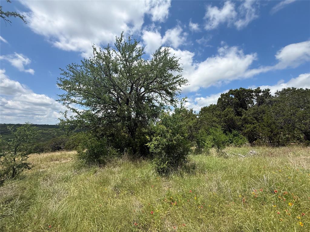 10151 Horizon View Tolar, TX 76476 - Photo 13 of 21