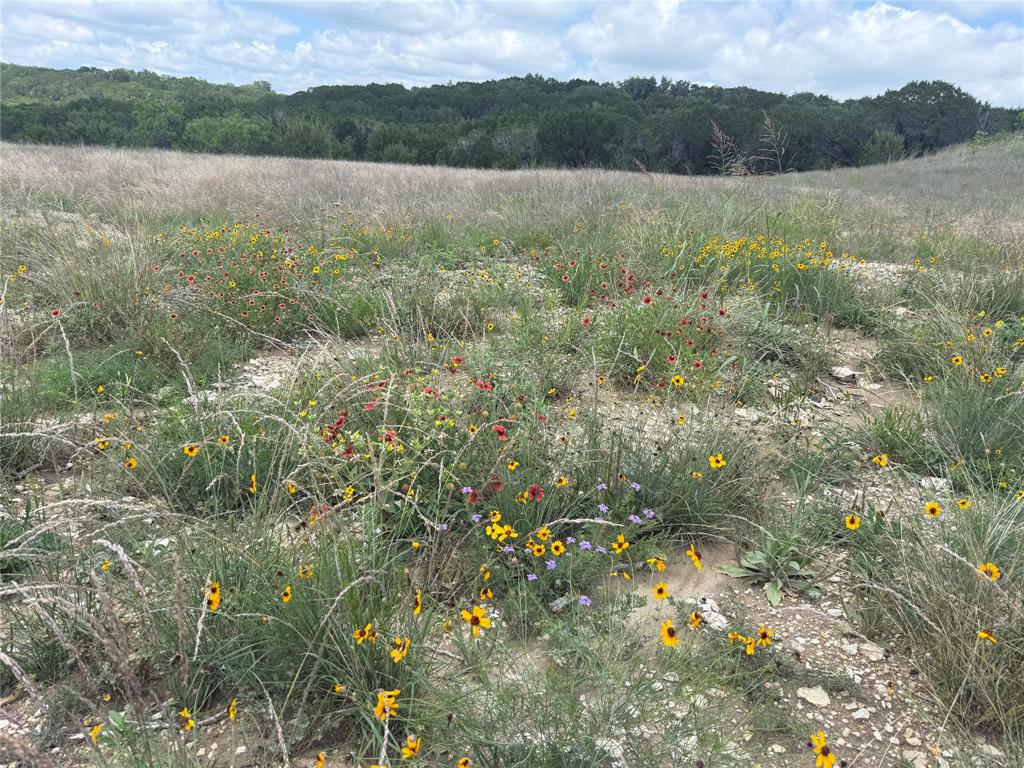 10151 Horizon View Tolar, TX 76476 - Photo 14 of 21