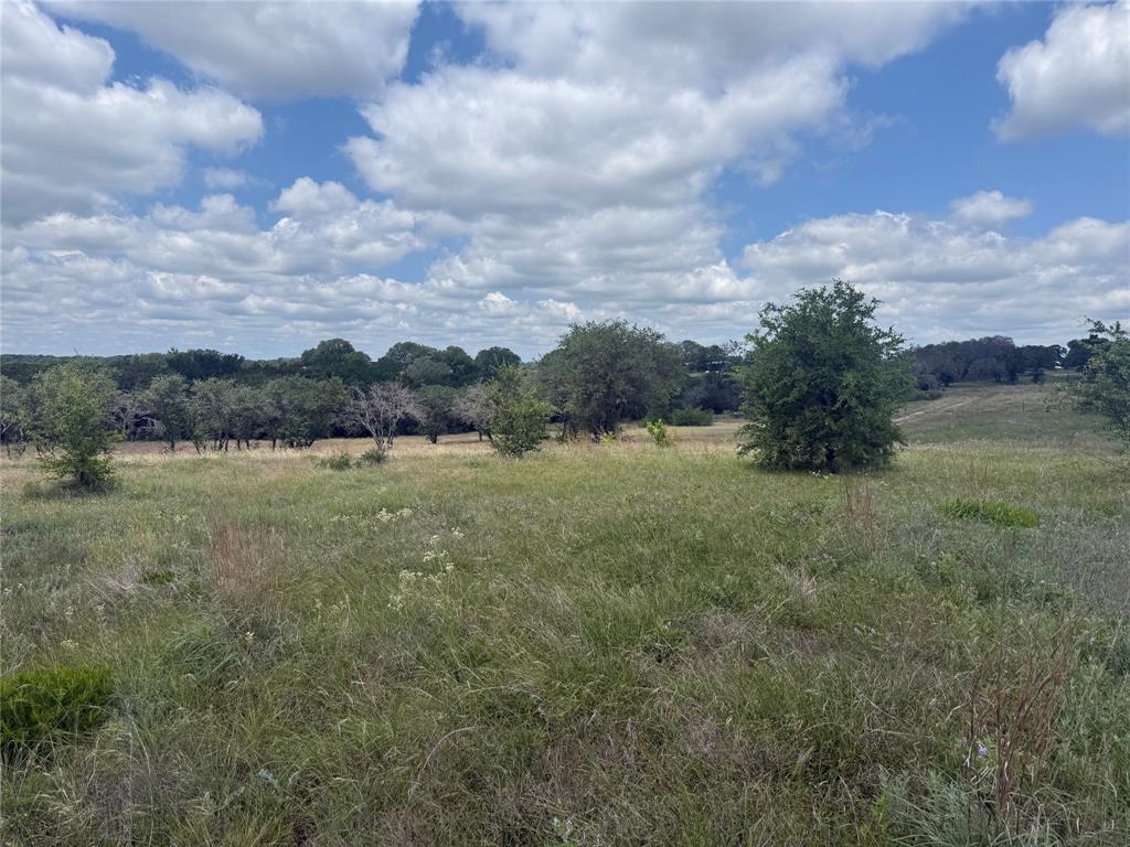 10151 Horizon View Tolar, TX 76476 - Photo 15 of 21