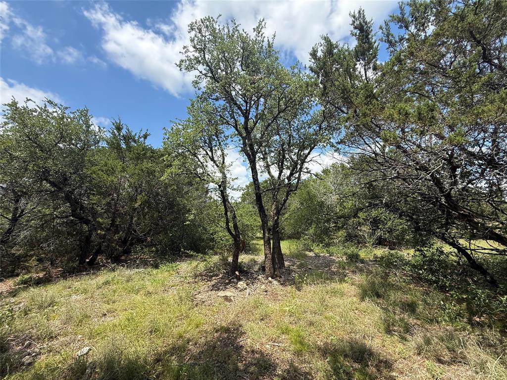 10151 Horizon View Tolar, TX 76476 - Photo 2 of 21