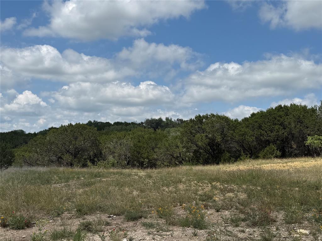 10151 Horizon View Tolar, TX 76476 - Photo 3 of 21
