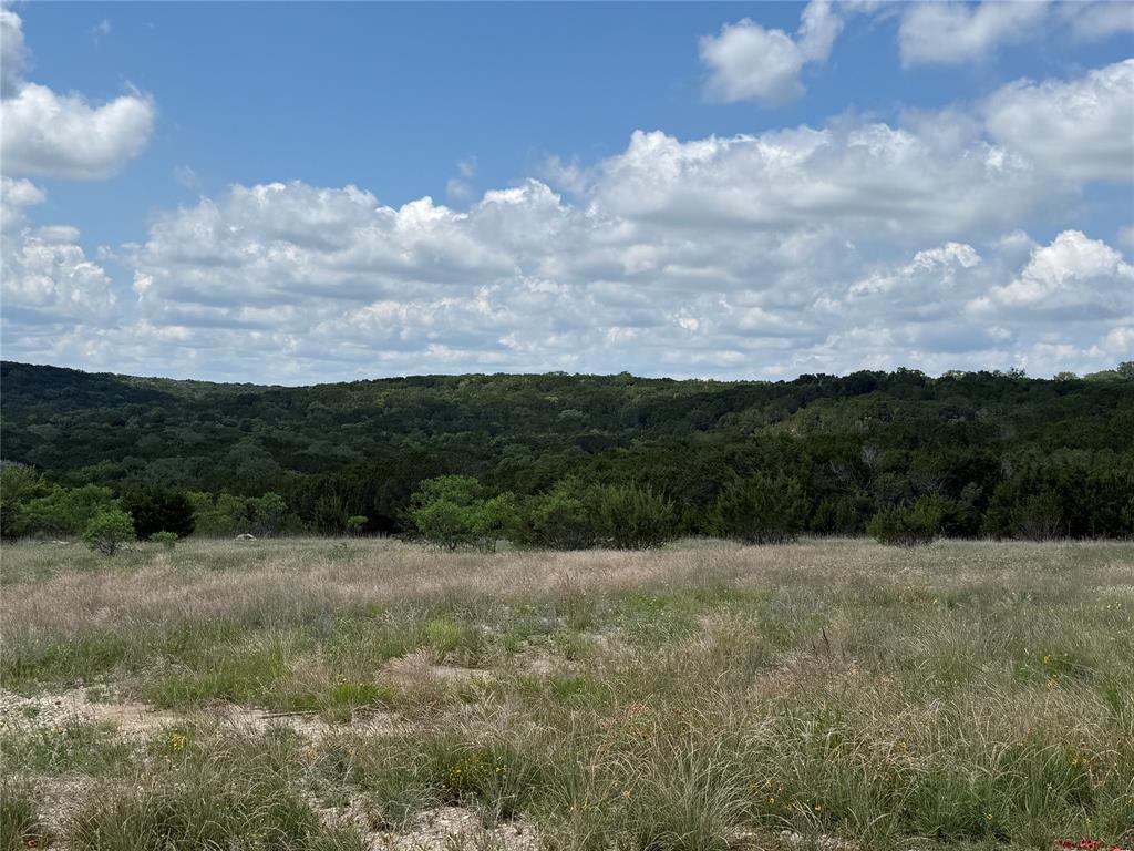 10151 Horizon View Tolar, TX 76476 - Photo 4 of 21