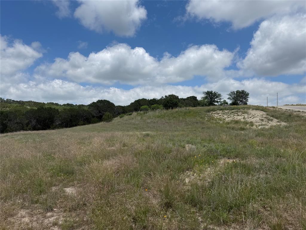 10151 Horizon View Tolar, TX 76476 - Photo 5 of 21
