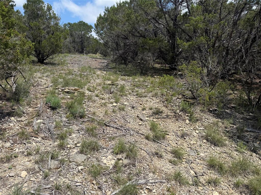 10151 Horizon View Tolar, TX 76476 - Photo 6 of 21