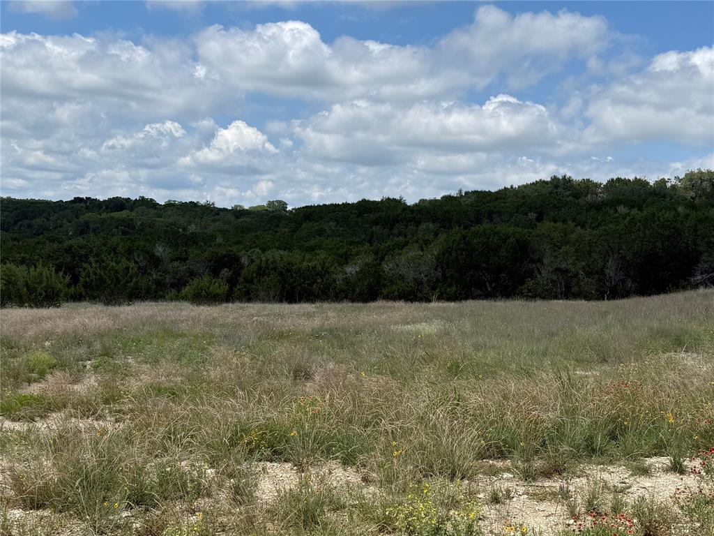 10151 Horizon View Tolar, TX 76476 - Photo 9 of 21