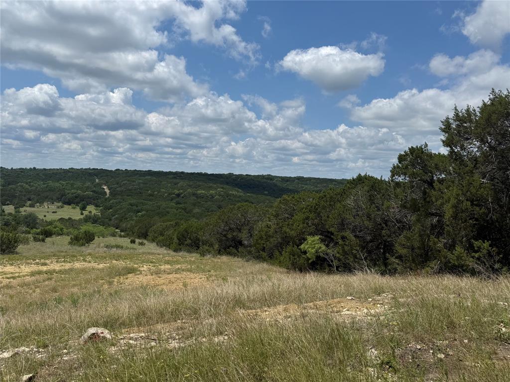 10151 Horizon View Tolar, TX 76476 - Photo 10 of 21