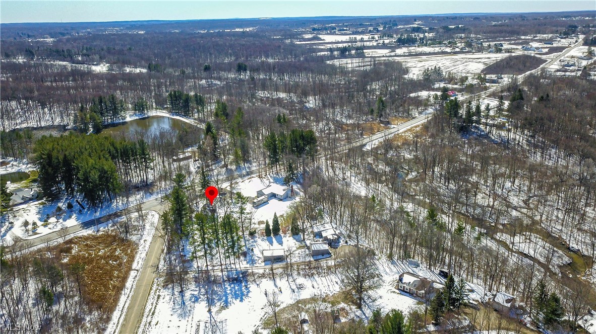 8790 Sumner Road Chardon, OH 44024 - Photo 39 of 46 View of snowy aerial view