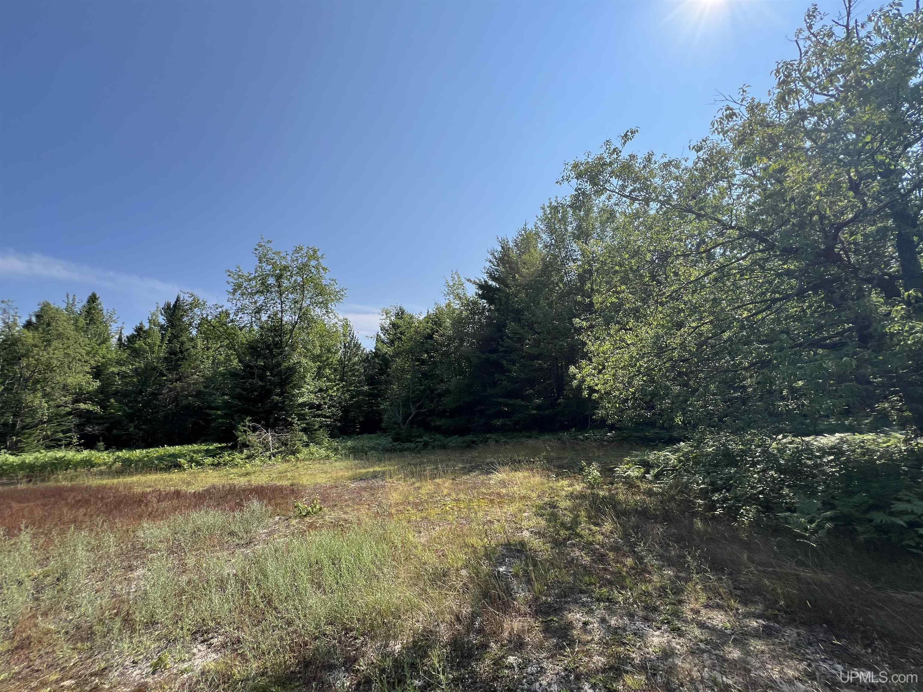 Tbd Tbd Ridge Road Munising, MI 49862 - Photo 18 of 33 Gallery Image 18