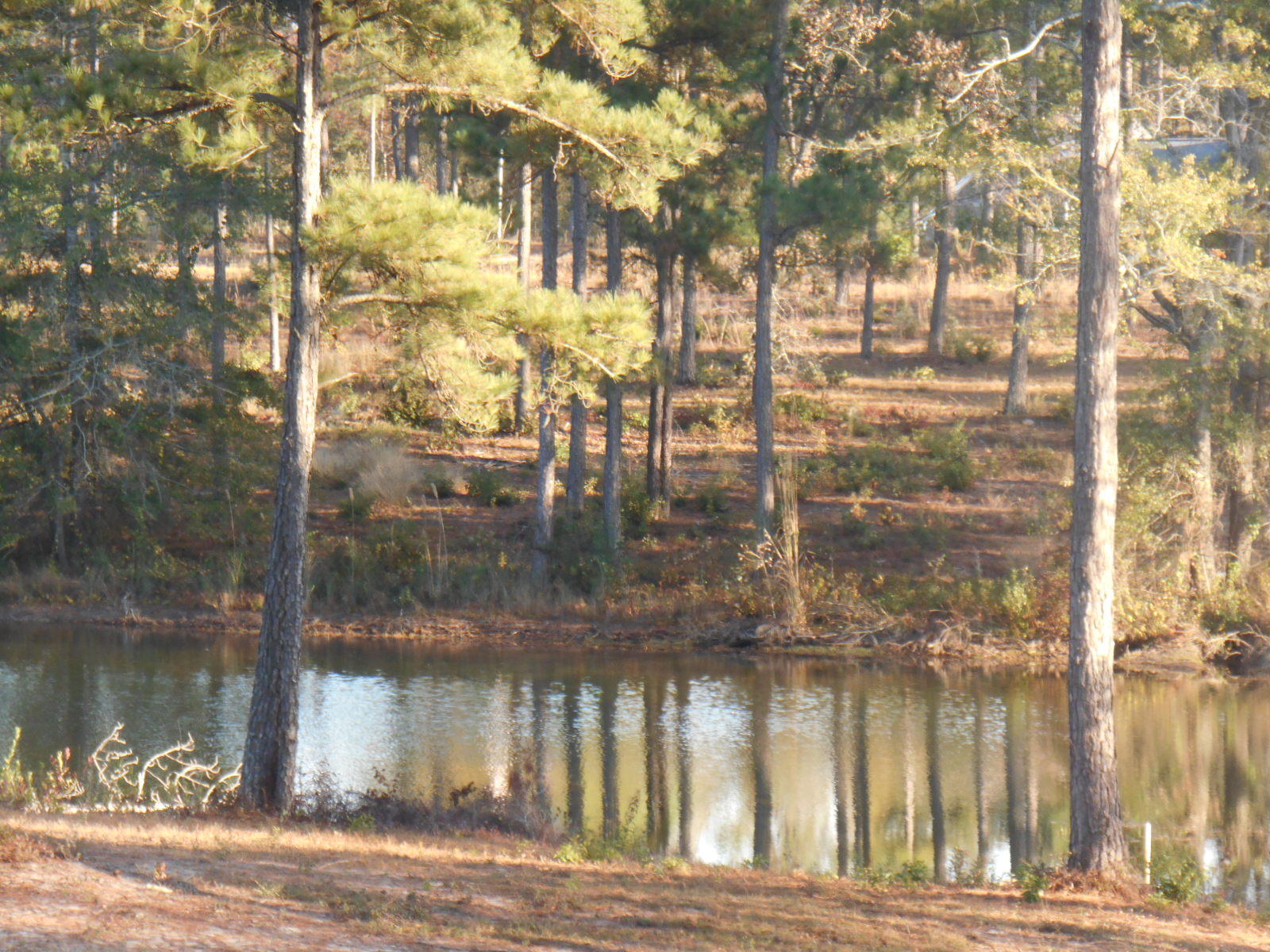 138 Crystal Court Rockingham, NC 28379 - Photo 39 of 42 Waterfront View