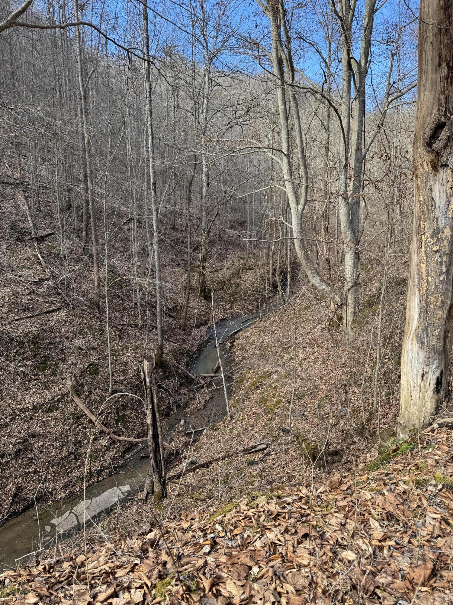 0 Panbowl Road Jackson, KY 41339 - Photo 6 of 8 IMG_8292