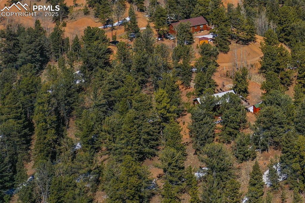 507 Horseshoe Drive Divide, CO 80814 - Photo 12 of 19 Birds eye view of property with a wooded view