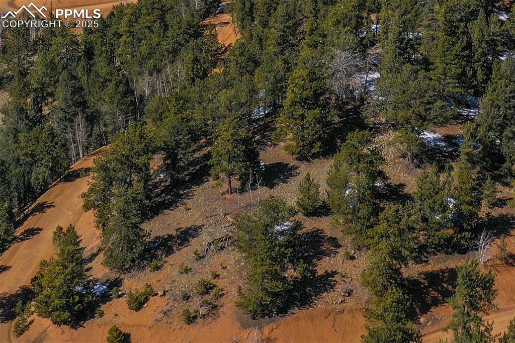 507 Horseshoe Drive Divide, CO 80814 - Photo 13 of 19 Birds eye view of property featuring a wooded view