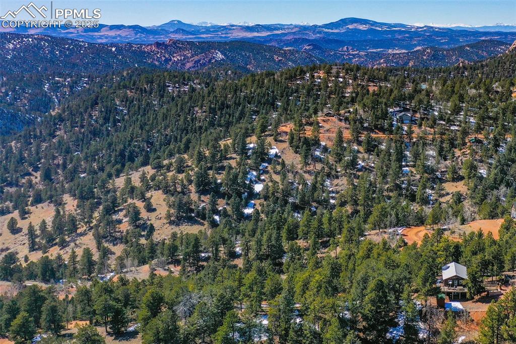 507 Horseshoe Drive Divide, CO 80814 - Photo 15 of 19 Drone / aerial view with a mountain view and a view of trees
