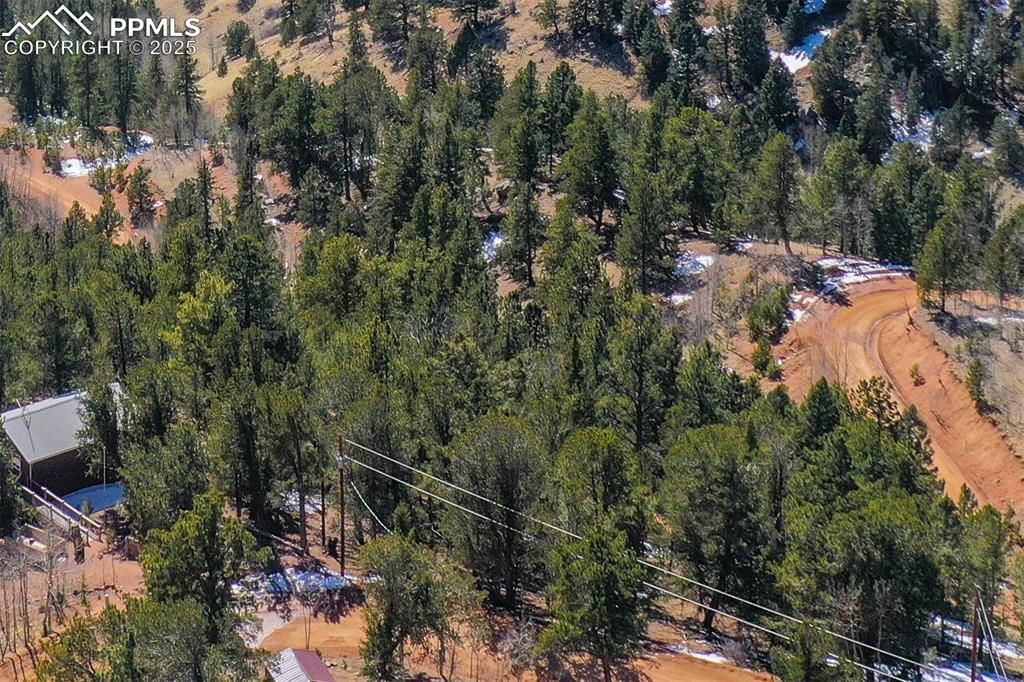 507 Horseshoe Drive Divide, CO 80814 - Photo 17 of 19 Aerial view with a forest view