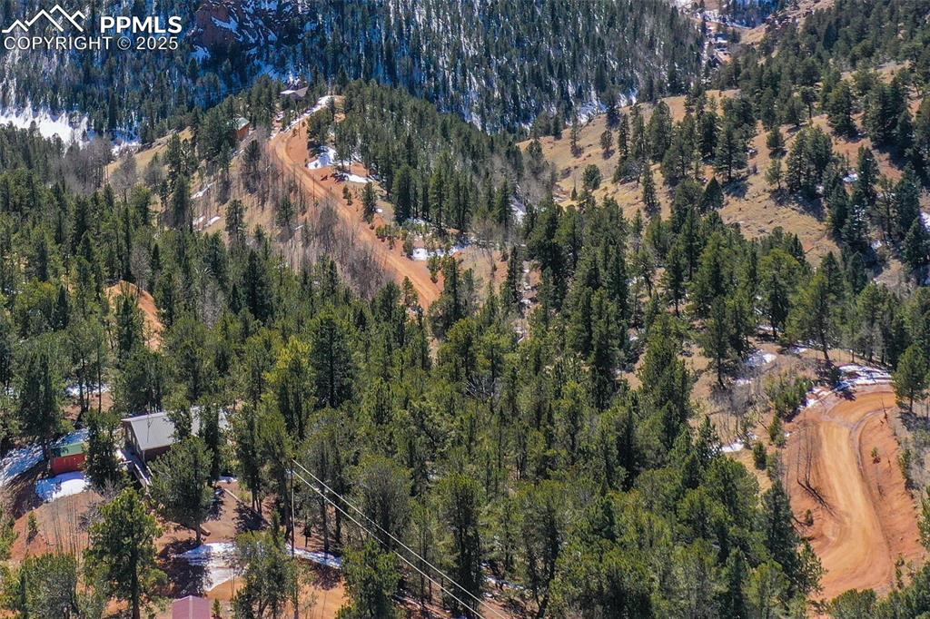 507 Horseshoe Drive Divide, CO 80814 - Photo 18 of 19 Drone / aerial view featuring a forest view
