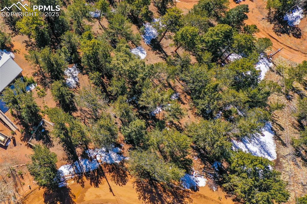 507 Horseshoe Drive Divide, CO 80814 - Photo 19 of 19 Drone / aerial view