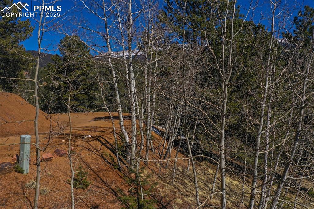 507 Horseshoe Drive Divide, CO 80814 - Photo 4 of 19 View of landscape