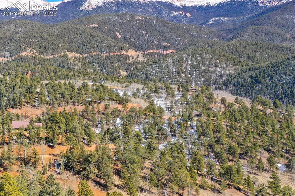 507 Horseshoe Drive Divide, CO 80814 - Photo 5 of 19 View of mountain feature with a view of trees
