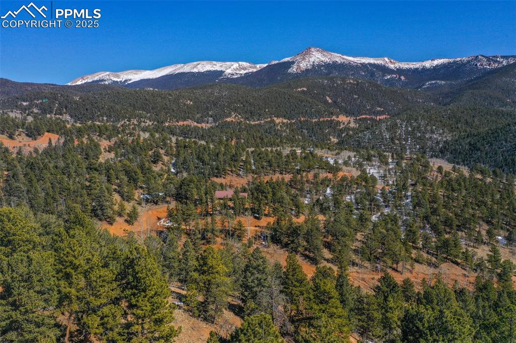 507 Horseshoe Drive Divide, CO 80814 - Photo 6 of 19 View of mountain feature with a view of trees