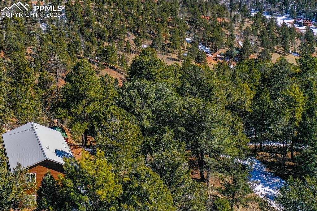 507 Horseshoe Drive Divide, CO 80814 - Photo 7 of 19 Aerial view featuring a forest view
