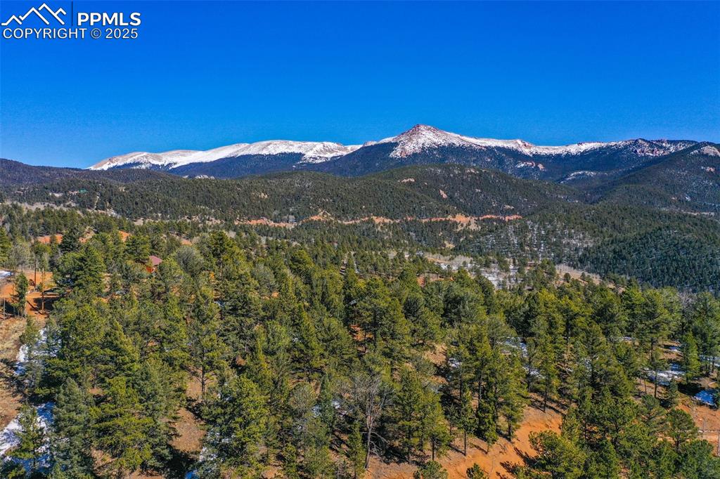 507 Horseshoe Drive Divide, CO 80814 - Photo 8 of 19 Mountain view featuring a wooded view