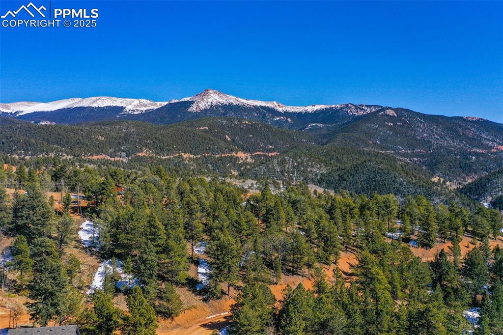 507 Horseshoe Drive Divide, CO 80814 - Photo 9 of 19