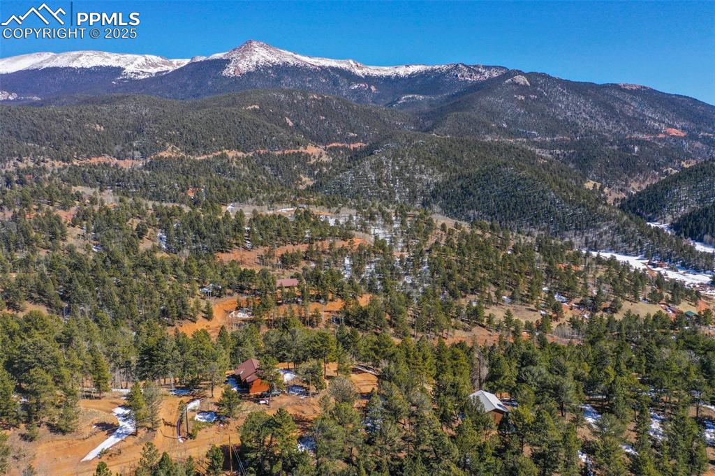 507 Horseshoe Drive Divide, CO 80814 - Photo 10 of 19 Birds eye view of property with a mountain view and a view of trees