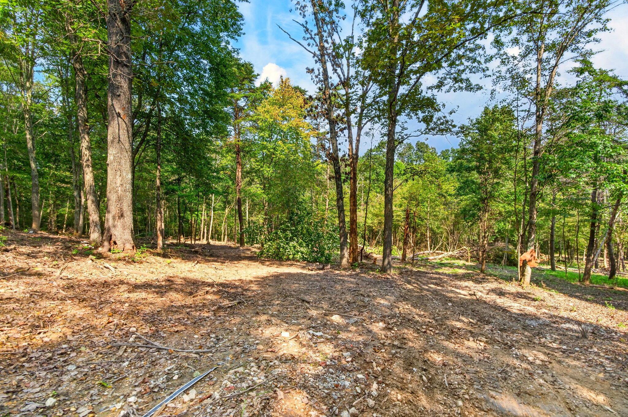 20162 Meada Road Nelsonville, OH 45764 - Photo 22 of 39 20162 Meada Rd 51