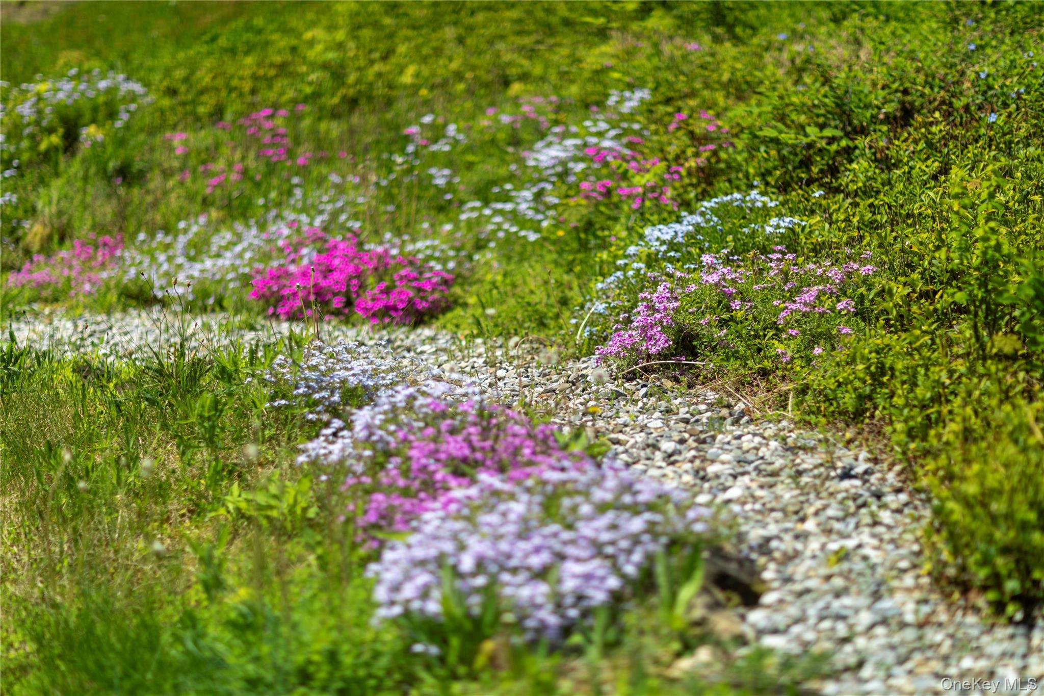 135 Turk Hill Road Brewster, NY 10509 - Photo 29 of 42