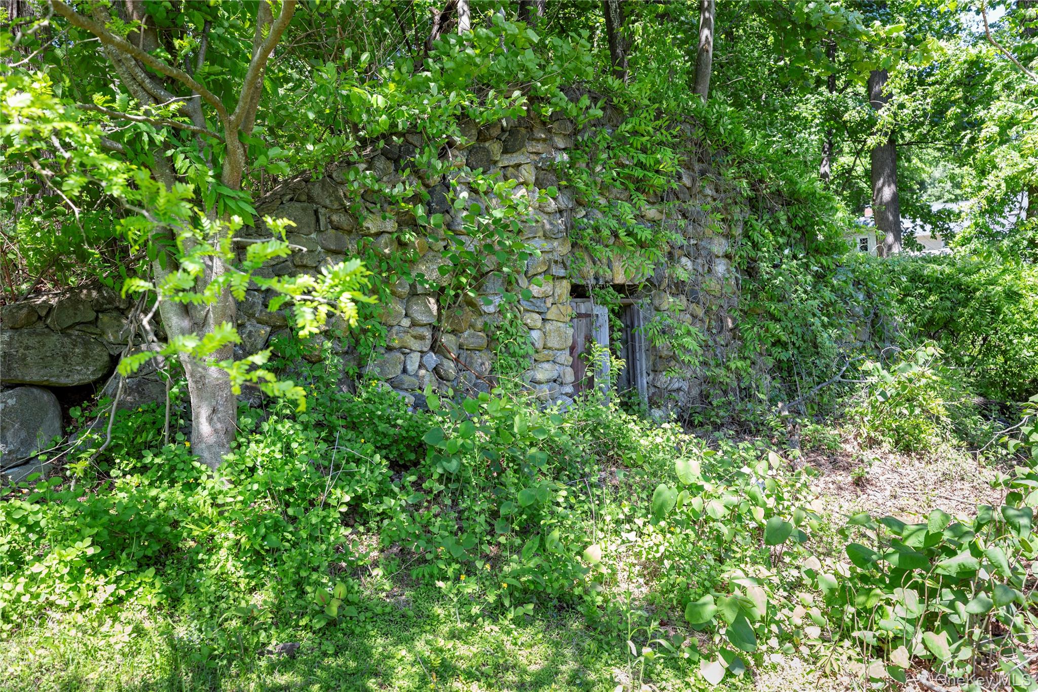 135 Turk Hill Road Brewster, NY 10509 - Photo 40 of 42 a plant view in yard