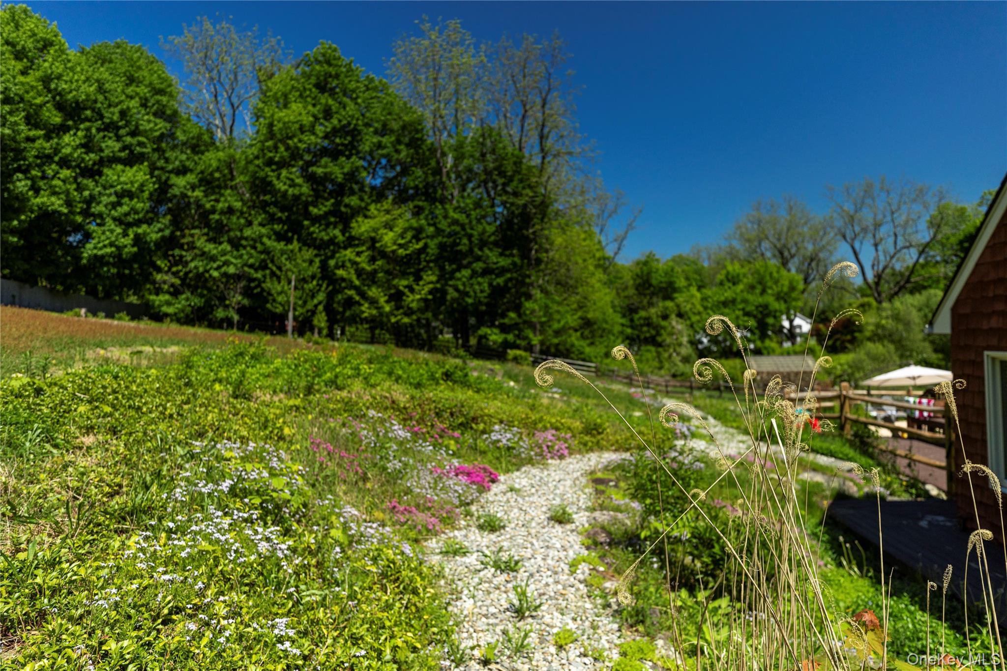 135 Turk Hill Road Brewster, NY 10509 - Photo 42 of 42 a view of a tree with a flower in a garden