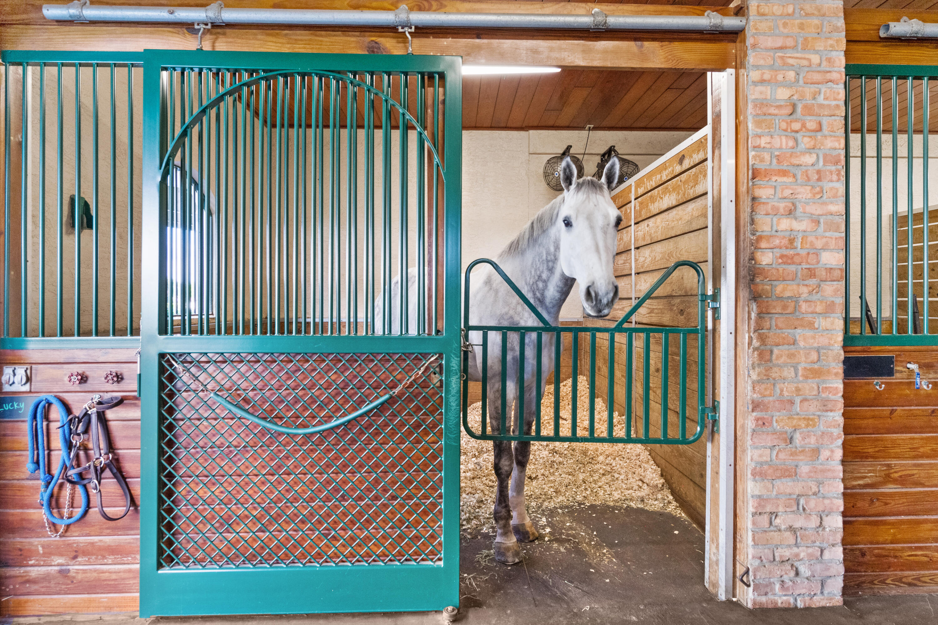 3509 Grand Prix Farms Road Wellington, FL 33414 - Photo 10 of 34 24-DSC_4069